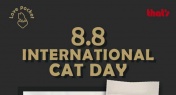 WIN! Celebrate International Cat Day with That's x LOVEPOCKET